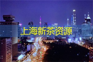 夜上海，发现城市中最具创意的夜晚活动