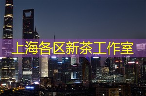 爱上海：上海明星演唱会