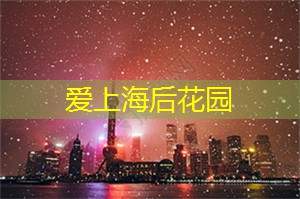 上海足浴店新技术登场，告别脚痛脚臭，双脚焕发活力！