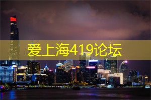 阿拉爱上海：遗留的缺