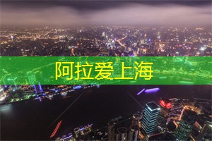 上海新茶工作室微信：秋雨