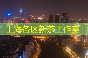 爱上海后花园：记忆中的上海：夜晚的情怀